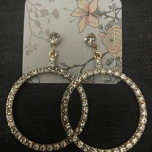 Elegant Gold and Silver Hoop Earrings
